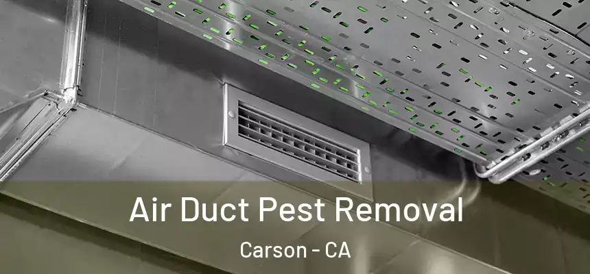  Air Duct Pest Removal Carson - CA
