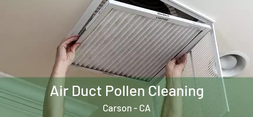  Air Duct Pollen Cleaning Carson - CA