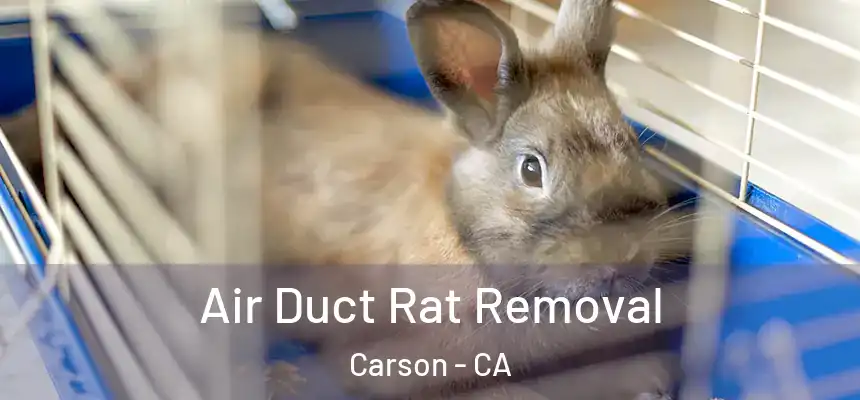  Air Duct Rat Removal Carson - CA