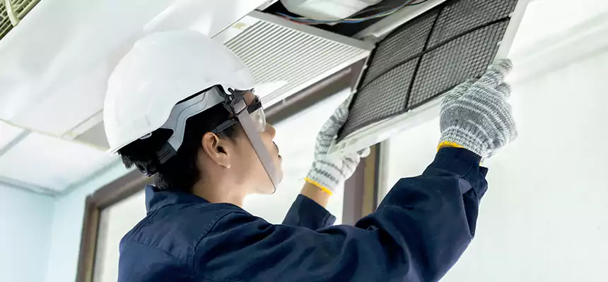 Our Mold & Mildew Removal from Air Ducts Services in Carson, CA