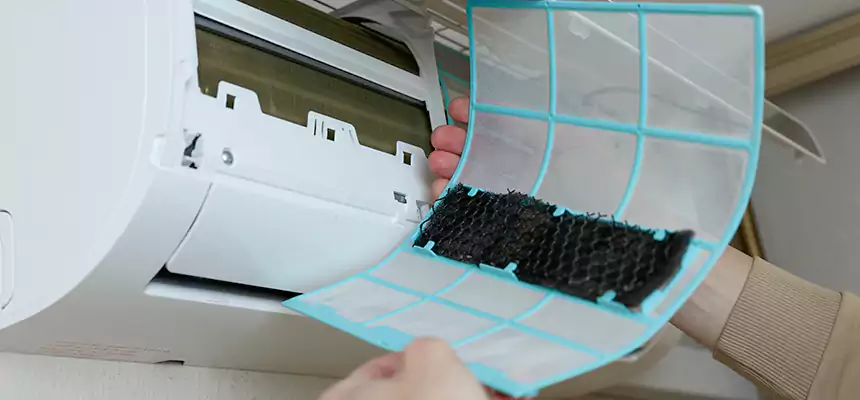 Gentle Ductwork Odor-Control Pet Dander Duct Cleaning in Carson, CA