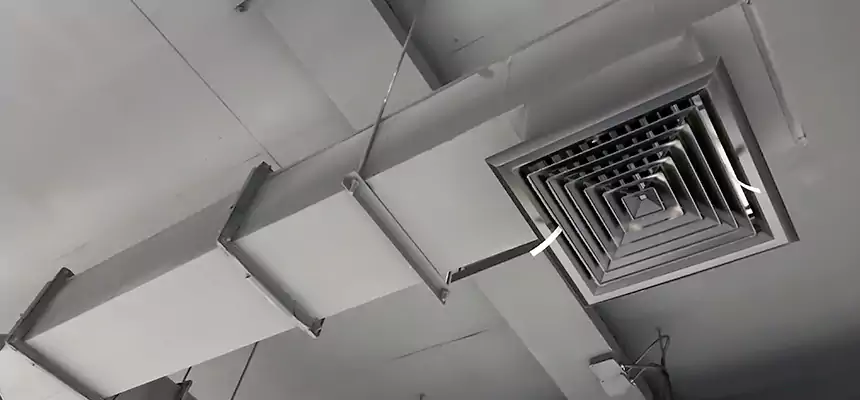 Our Rodent Droppings In Vents Services in Carson, CA