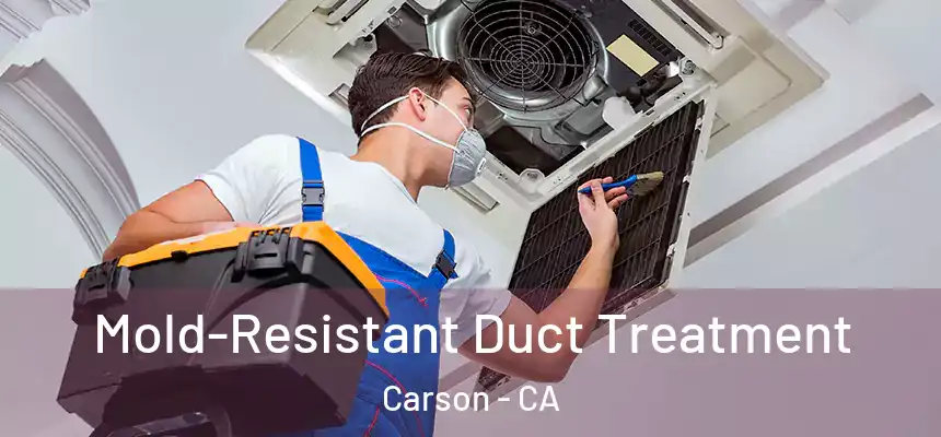  Mold-Resistant Duct Treatment Carson - CA