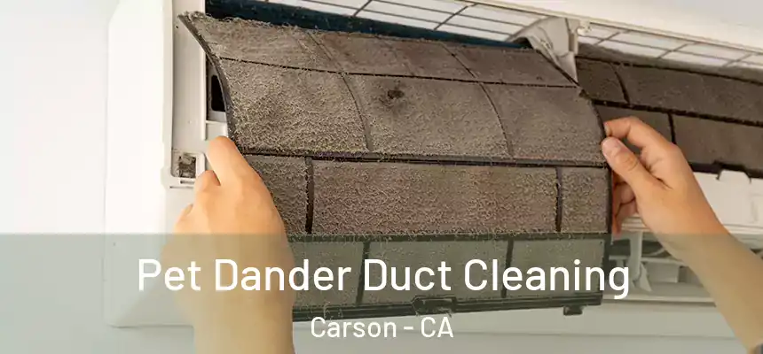  Pet Dander Duct Cleaning Carson - CA