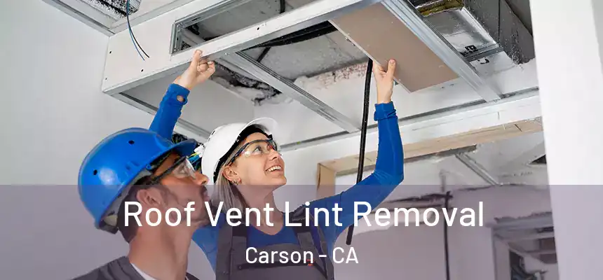  Roof Vent Lint Removal Carson - CA