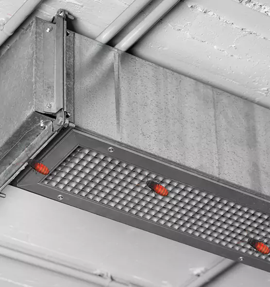 About Air Duct Cockroach Removal in Carson, CA